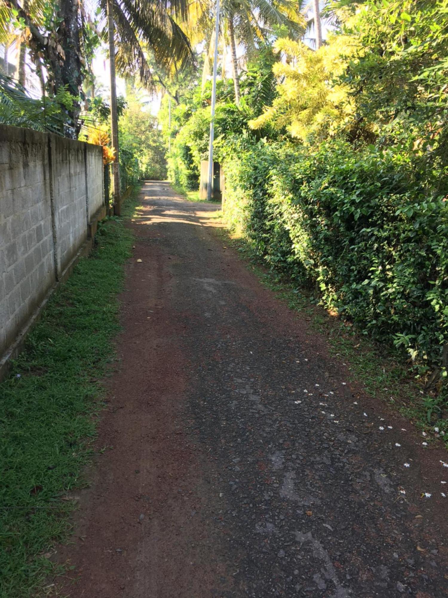 Bosadi Homestay คาตุนายากา ภายนอก รูปภาพ